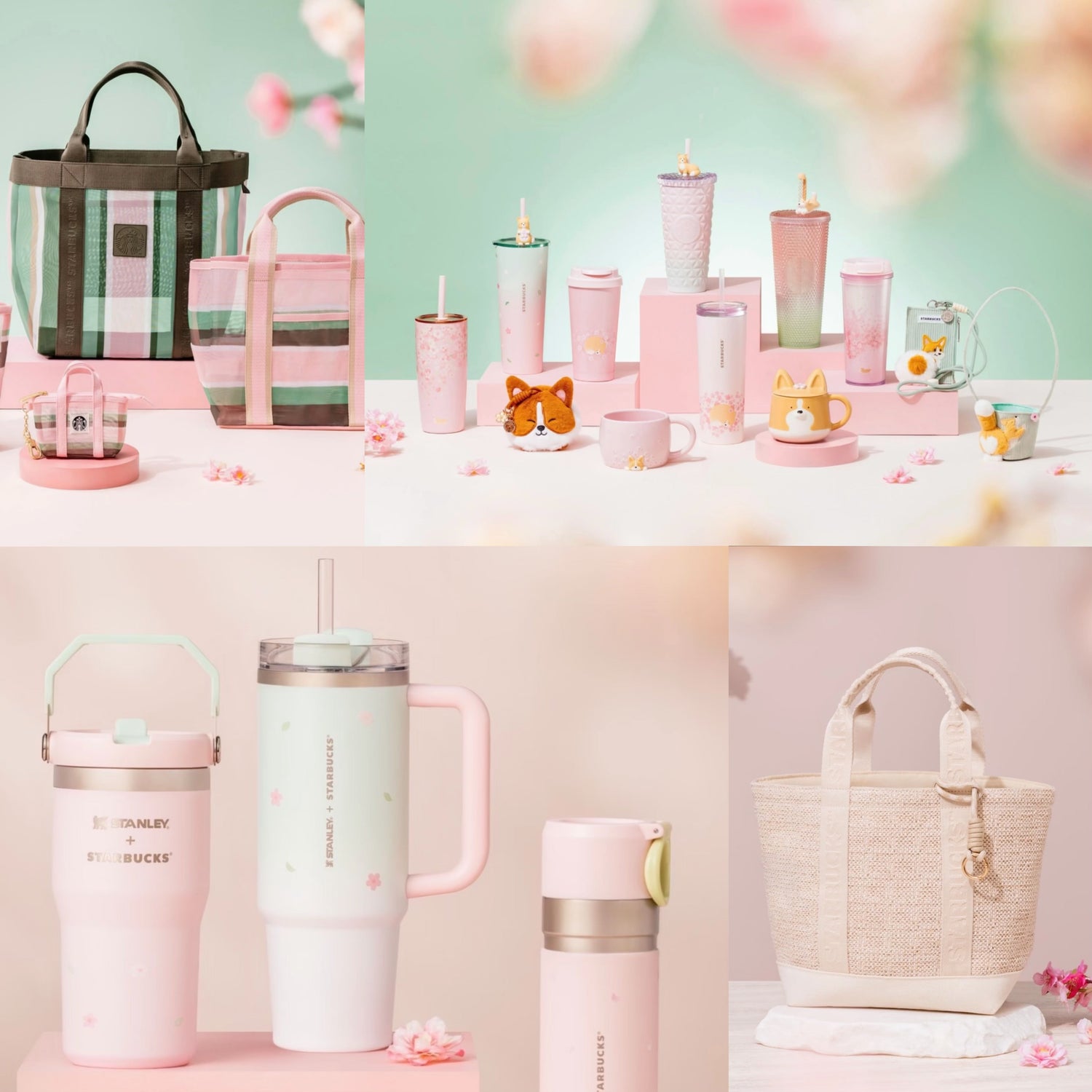 New Starbucks Taiwan 2026 Sakura Season Cup Series display