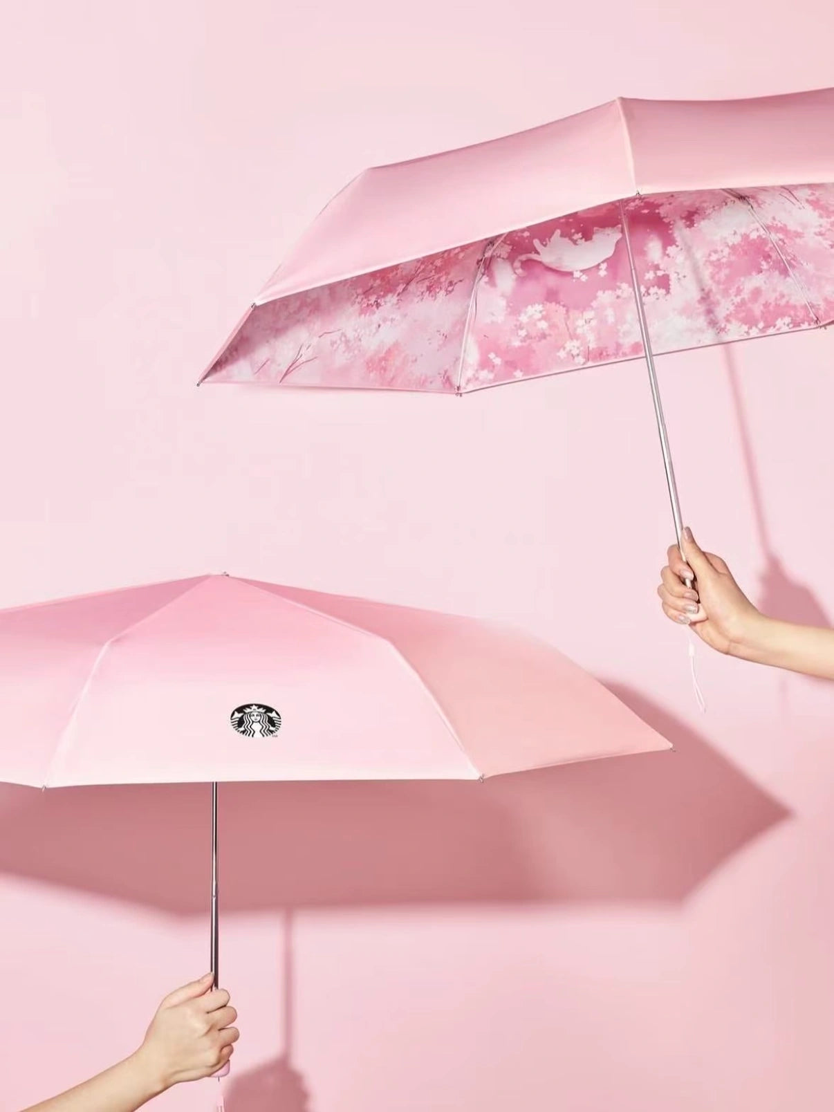 Starbucks Korea 2026 Cherry Blossom Pink Tri-fold Umbrella display